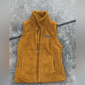 Patagonia Golden Fleece Vest